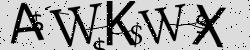 CAPTCHA security image