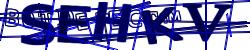 CAPTCHA security image