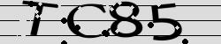 CAPTCHA security image